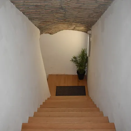 House 마리보르